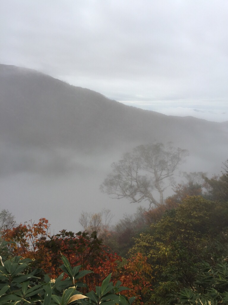 北陸パンサーズ(白山登山)_c0113733_23595494.jpg