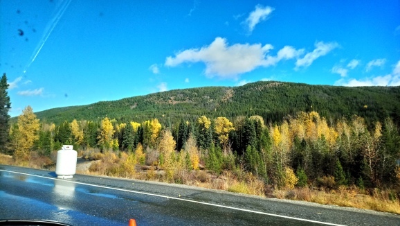 c0077835_02081761.jpg