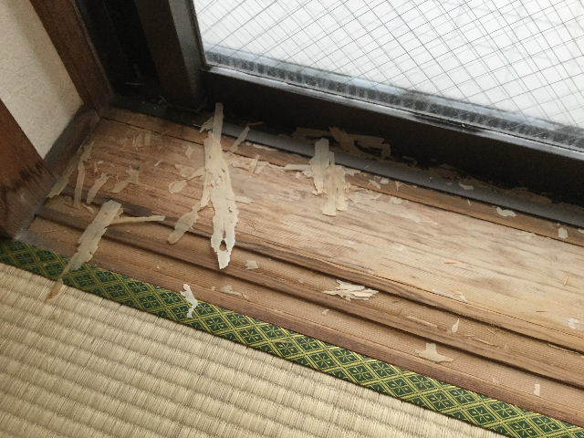 加速 あれとこれと_f0031037_21105558.jpg