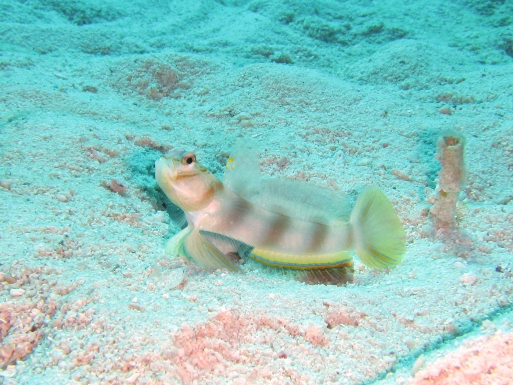 a0189838_18001160.jpg