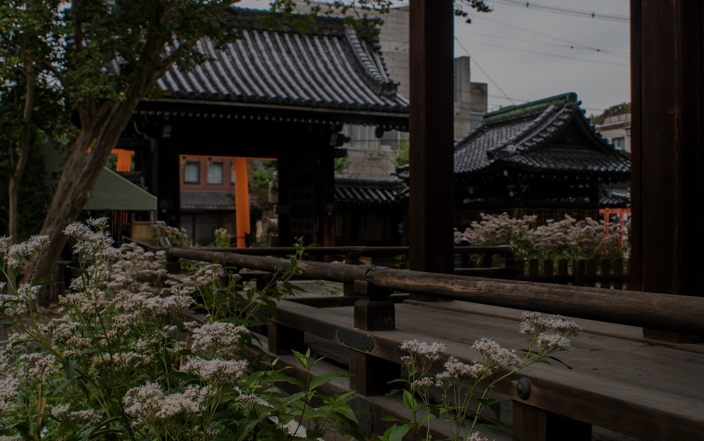 藤袴まつり~下御霊神社_e0363038_1246269.jpg