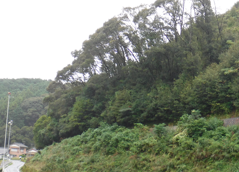 a0051539_16564861.png
