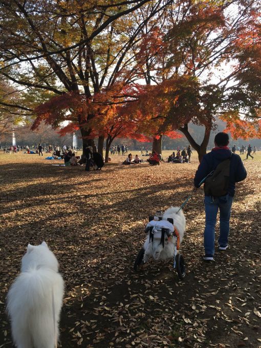 思い出をありがとう_f0128542_01221443.jpg