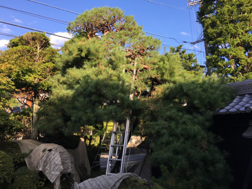 c0112447_10120256.jpg