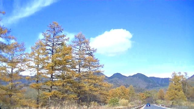 d0131847_14245481.jpg