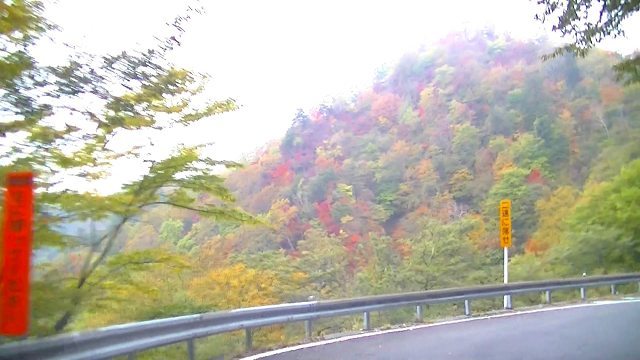 d0131847_14260661.jpg