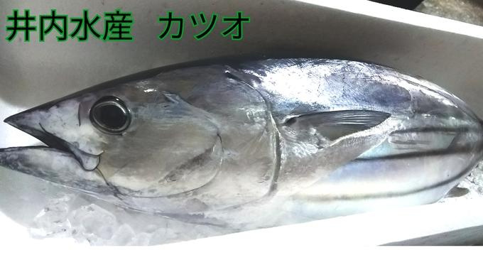a0248253_11402728.jpg
