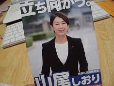 衆議院選挙　10月22日の結果は・・・・_a0331562_7282891.jpg