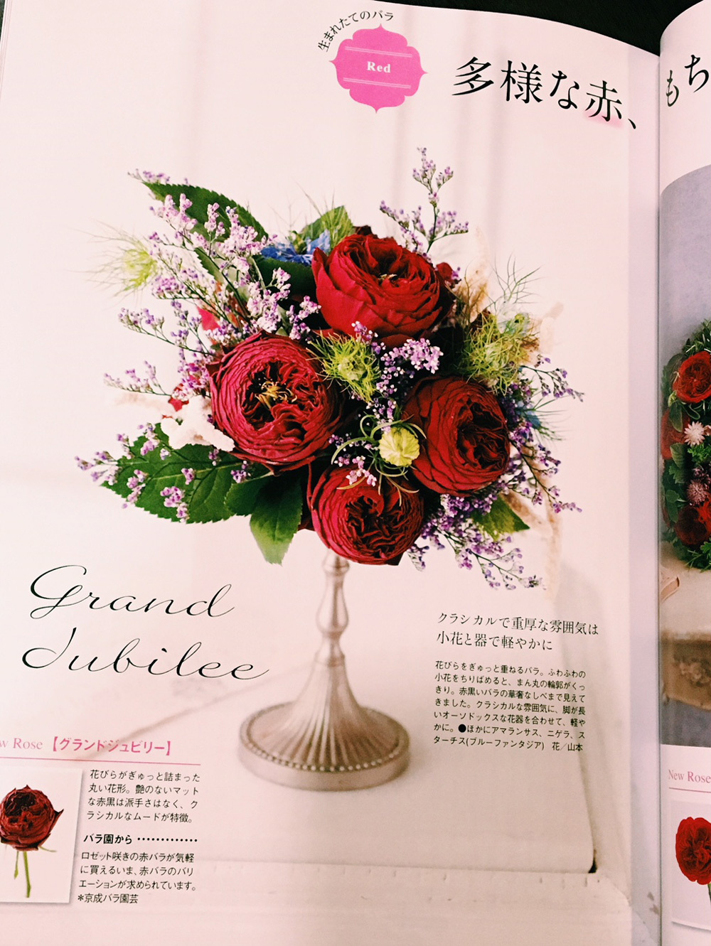 花時間秋号 バラ特集で作品を作りました_c0072971_05484100.jpg
