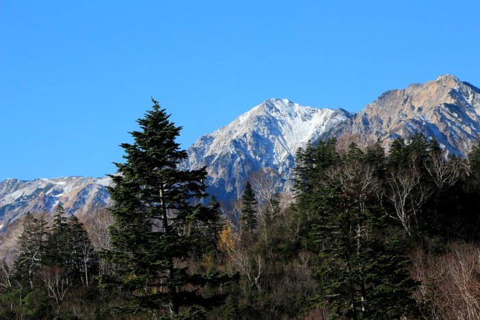 初冠雪の白馬岳・・・栂池高原_d0178082_19005143.jpg