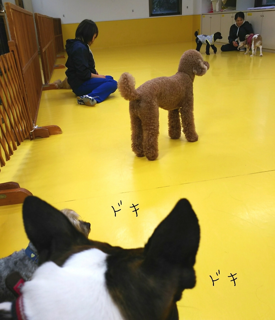 トレーニングブログ_f0357682_23432778.jpg