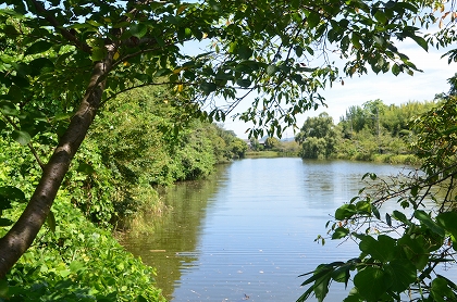 c0229483_12114817.jpg