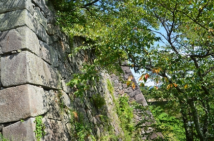 c0229483_1281651.jpg