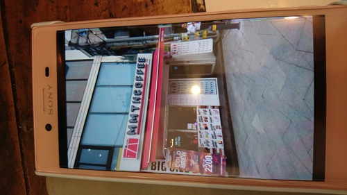 「韓国にマンモス?モンマス?」_a0075684_1949222.jpg