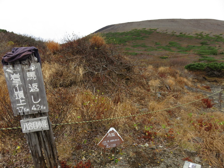 岩手山～東北登山紀行④_d0198793_15164148.jpg