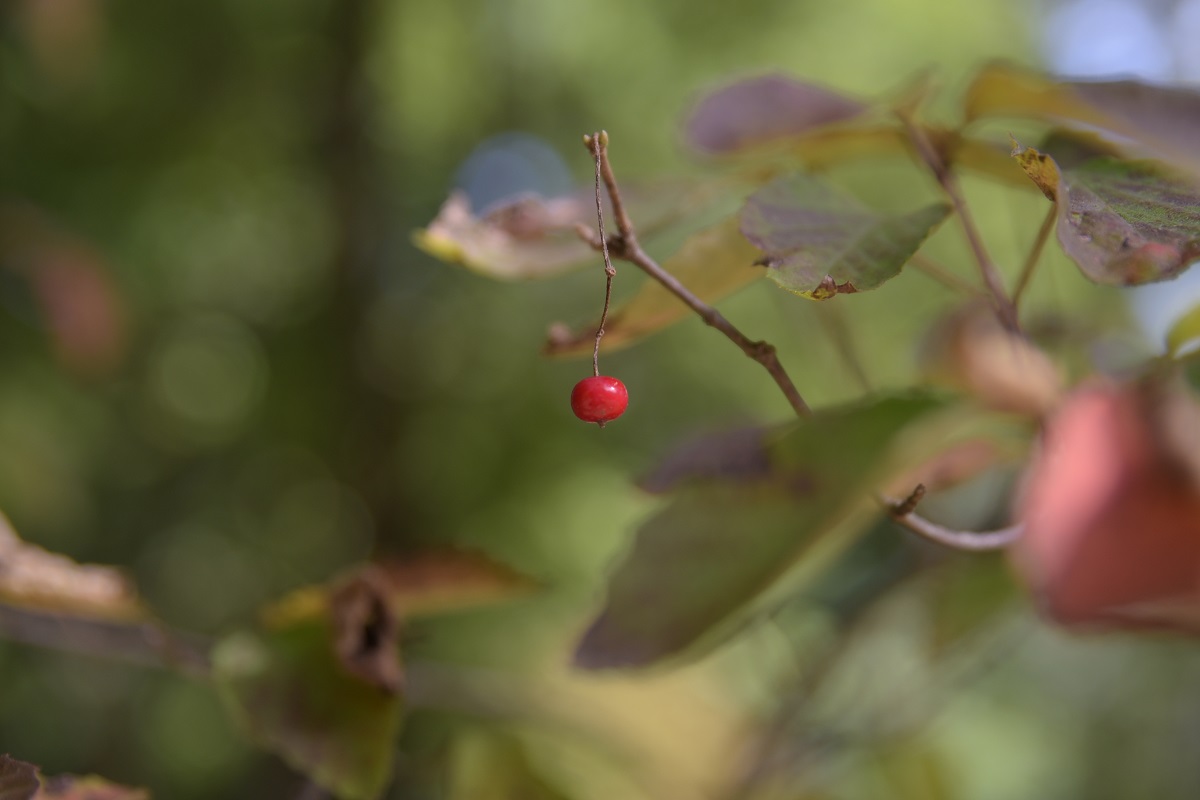 d0234293_6511891.jpg
