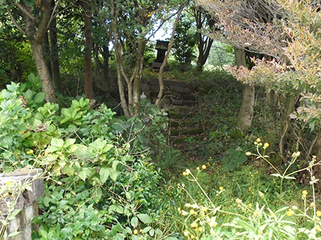 d0355894_00131350.jpg