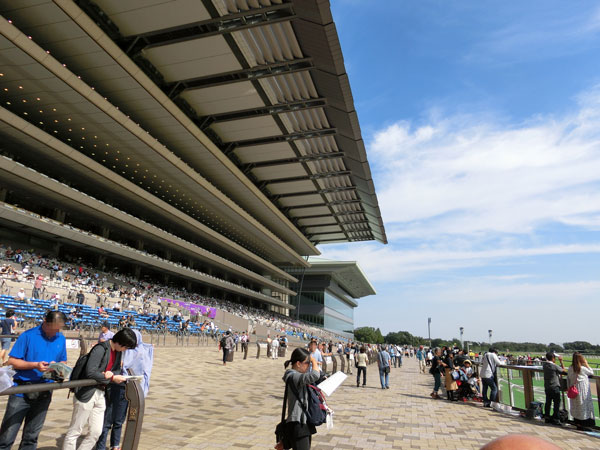 e0131399_03427.jpg