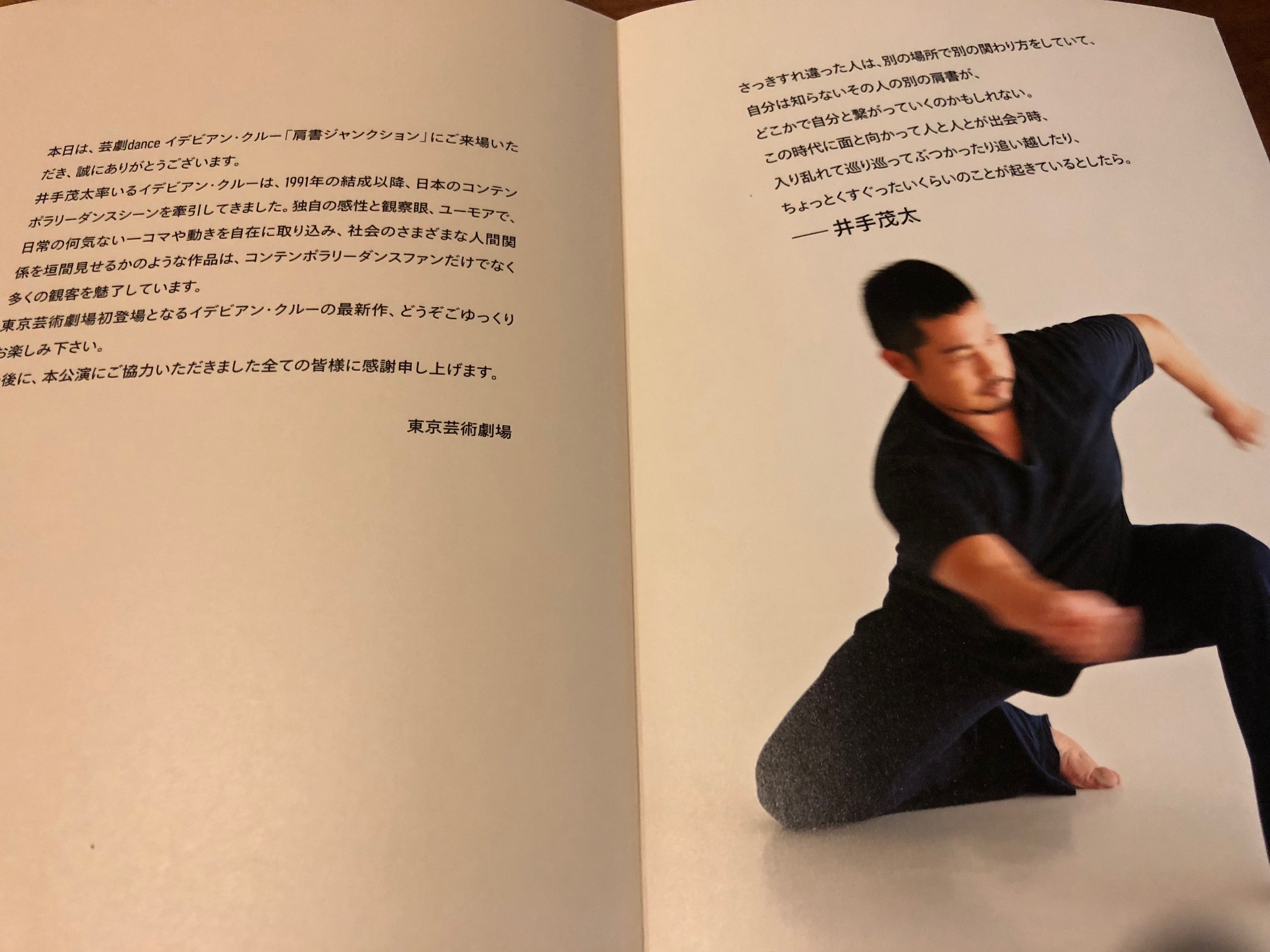 「肩書ジャンクション」イデビアン・クルー（＠東京芸術劇場シアターイースト）_f0064203_07591309.jpg