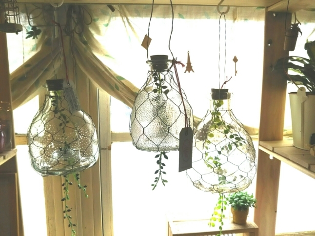 ガラスフライトラップ 手作り雑貨 観葉植物 Kinomi ガラスフライトラップ 手作り雑貨 観葉植物 Kinomi