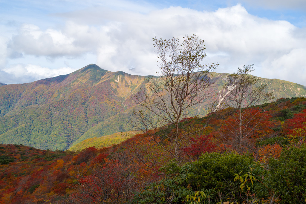 那須岳　真っ赤に染まる姥ヶ平　2017年10月08日（日）④_d0161322_08154209.jpg