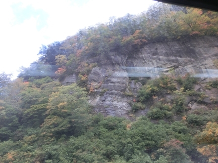 a0105023_23332481.jpg