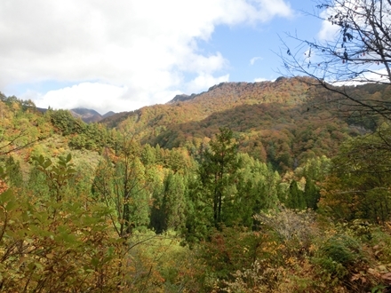 a0105023_23342494.jpg