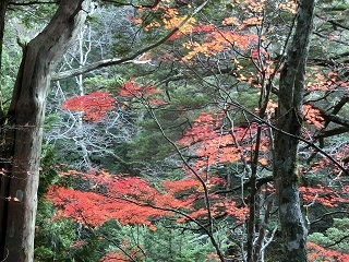 e0234924_19302918.jpg