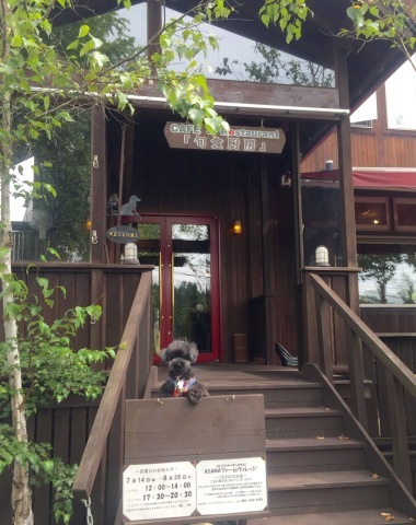 f0167026_16010570.jpeg