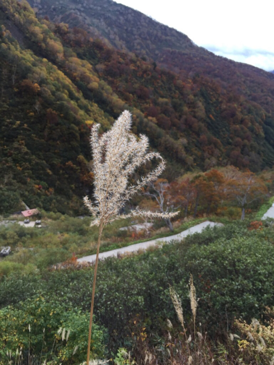 北陸パンサーズ(白山登山)_c0113733_00391603.jpg