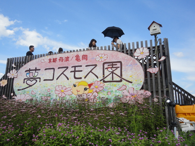 d0359338_1743117.jpg