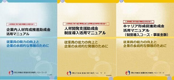 人材開発支援助成金 制度導入コース 助成金活用のポイントを詳解 雇用関係助成金 申請 手続マニュアル