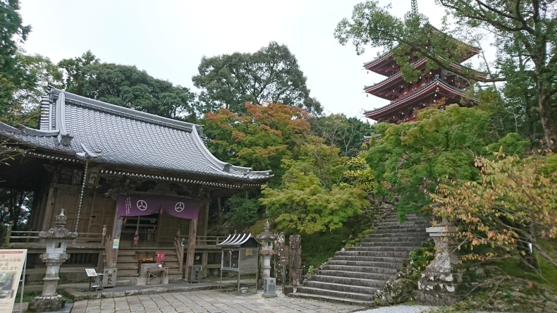 c0133458_11053568.jpg
