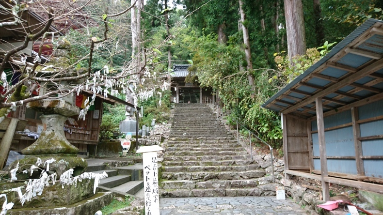 c0133458_11195322.jpg