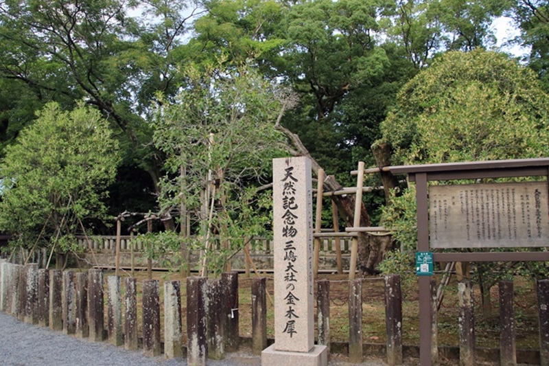 a0167759_08129.jpg