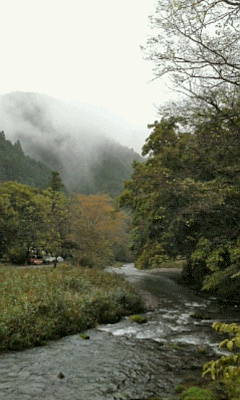 b0105259_19374570.jpg