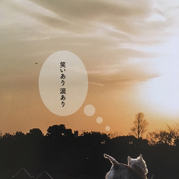2018年版ウェスティ・カレンダー_b0107163_17235717.jpg