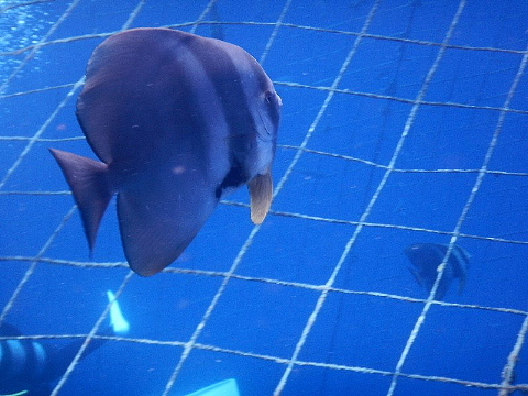 旅のテーマ。_b0141773_21184598.jpg