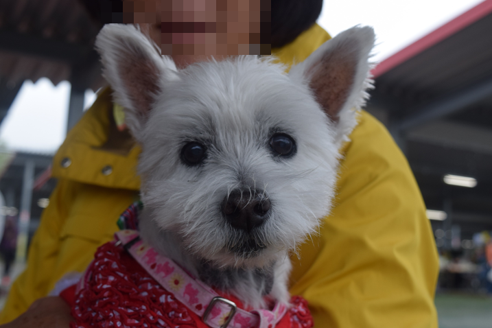 b0242873_00391950.png