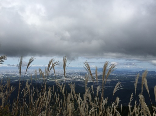 岩湧山にいってきました_f0170173_16140456.jpeg