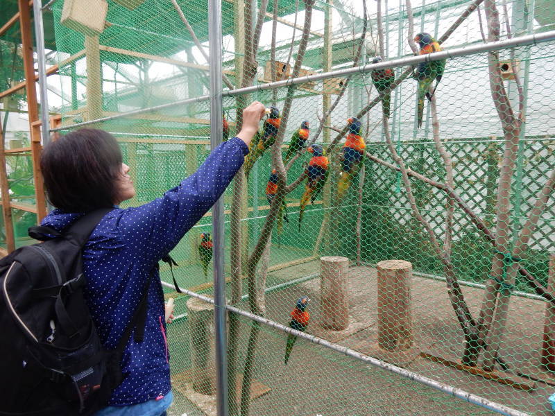 ドンちゃんレポート 珍道中 お花と小動物「花いちもんめ」_e0355177_19103523.jpg