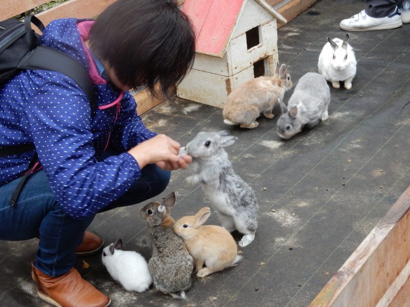 ドンちゃんレポート 珍道中 お花と小動物「花いちもんめ」_e0355177_19150344.jpg