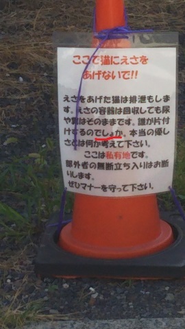 f0228680_09320174.jpg