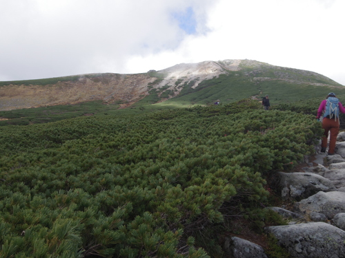c0051781_20463786.jpg