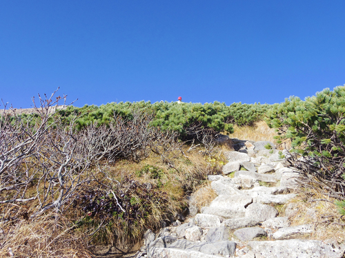c0051781_21710100.jpg