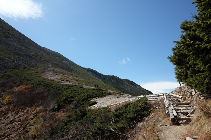 b0339488_21063983.jpg