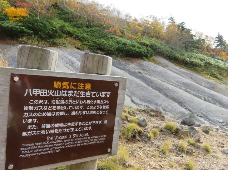 八甲田山～東北登山紀行⑤_d0198793_14521151.jpg