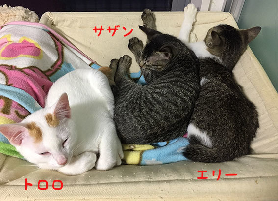 ベストショット!_d0071596_22545121.jpg