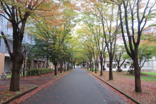 重文本館の景観、２０１７．１０．２１（土）　曇り_c0075701_15201829.jpg