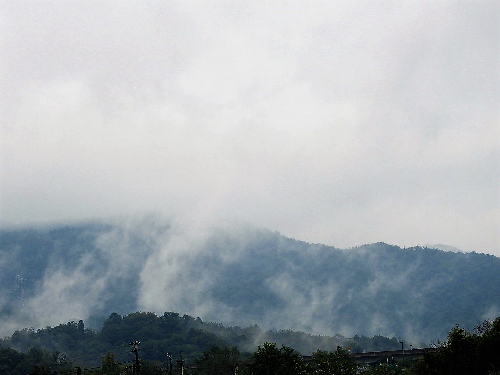 e0372207_17322280.jpg